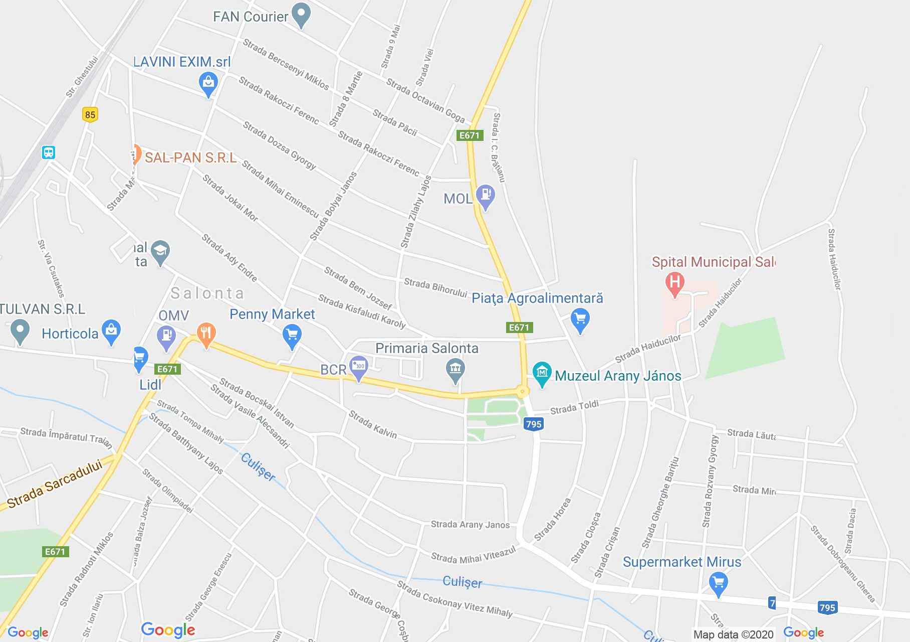 Salonta, Harta turistică interactivă