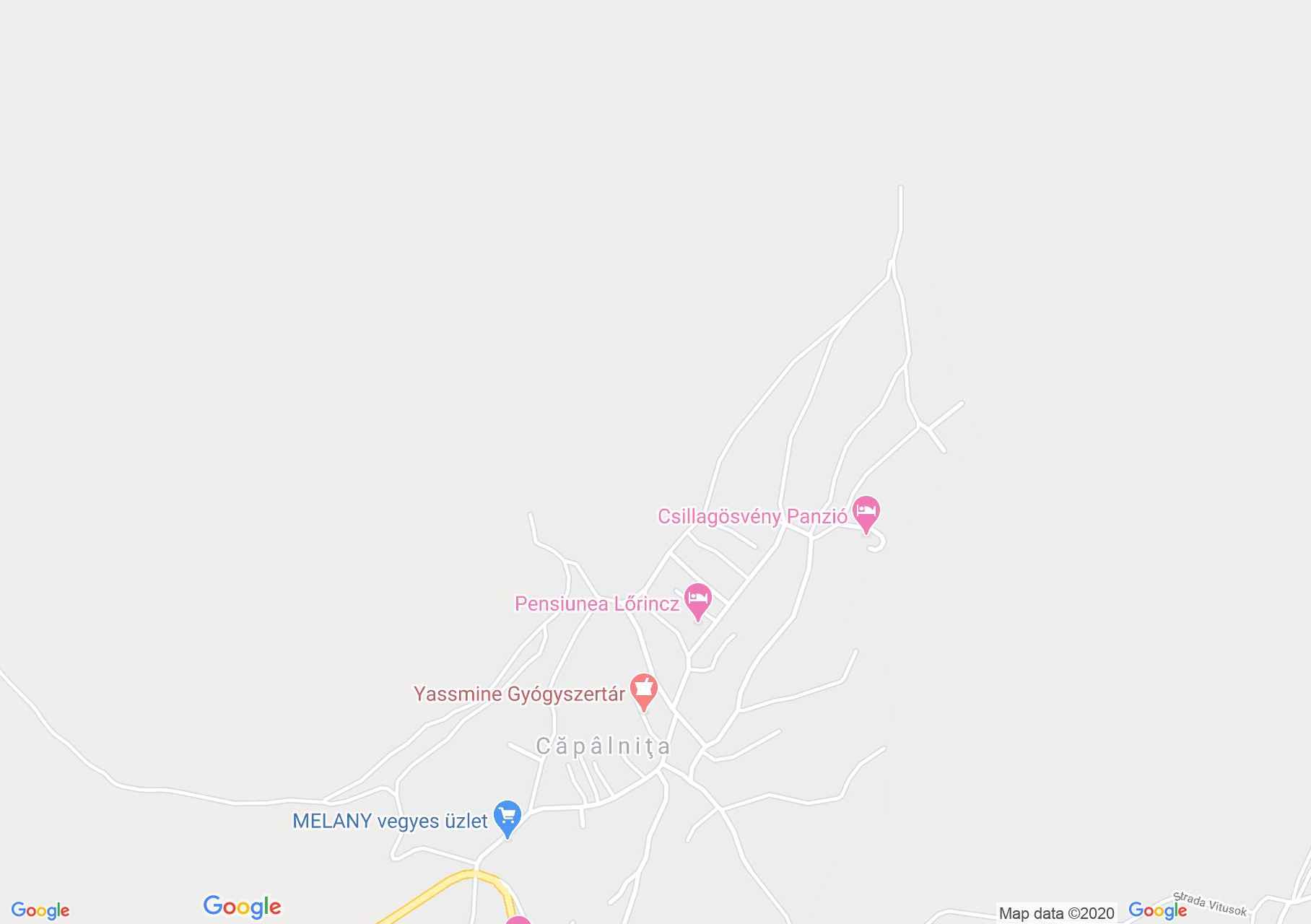 Hartă Căpâlniţa: Muzeul satului