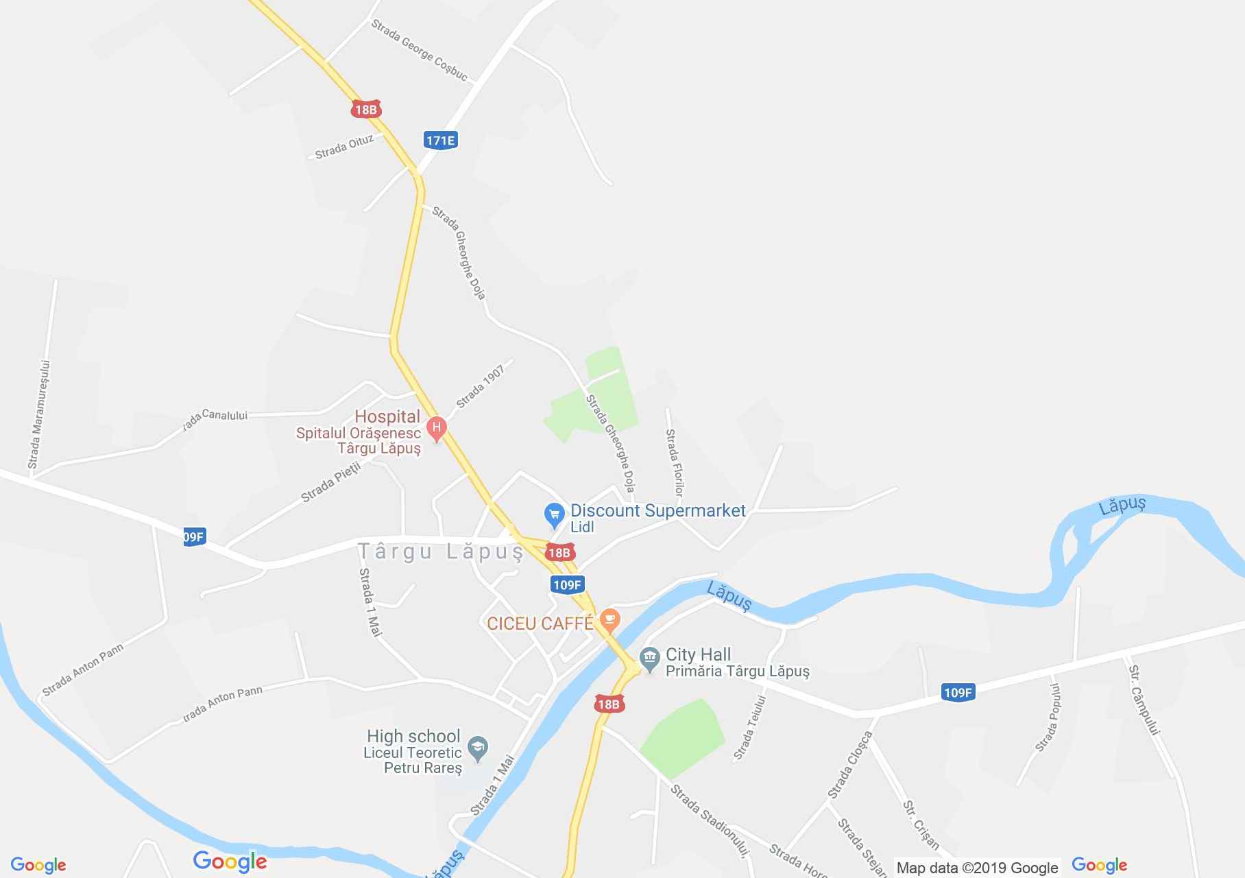 Map of Târgu Lăpuş