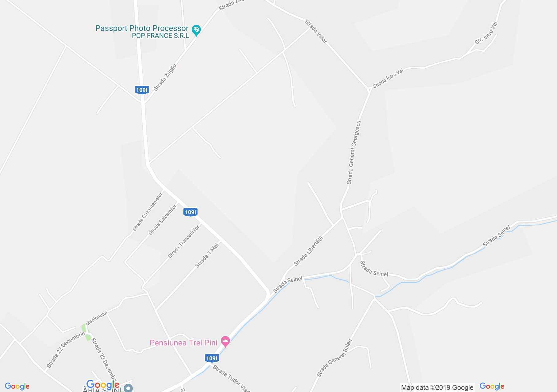 Map of Seini: Reformed church