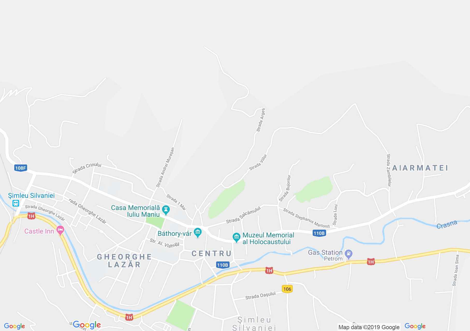 Hartă Şimleu Silvaniei: Sinagoga