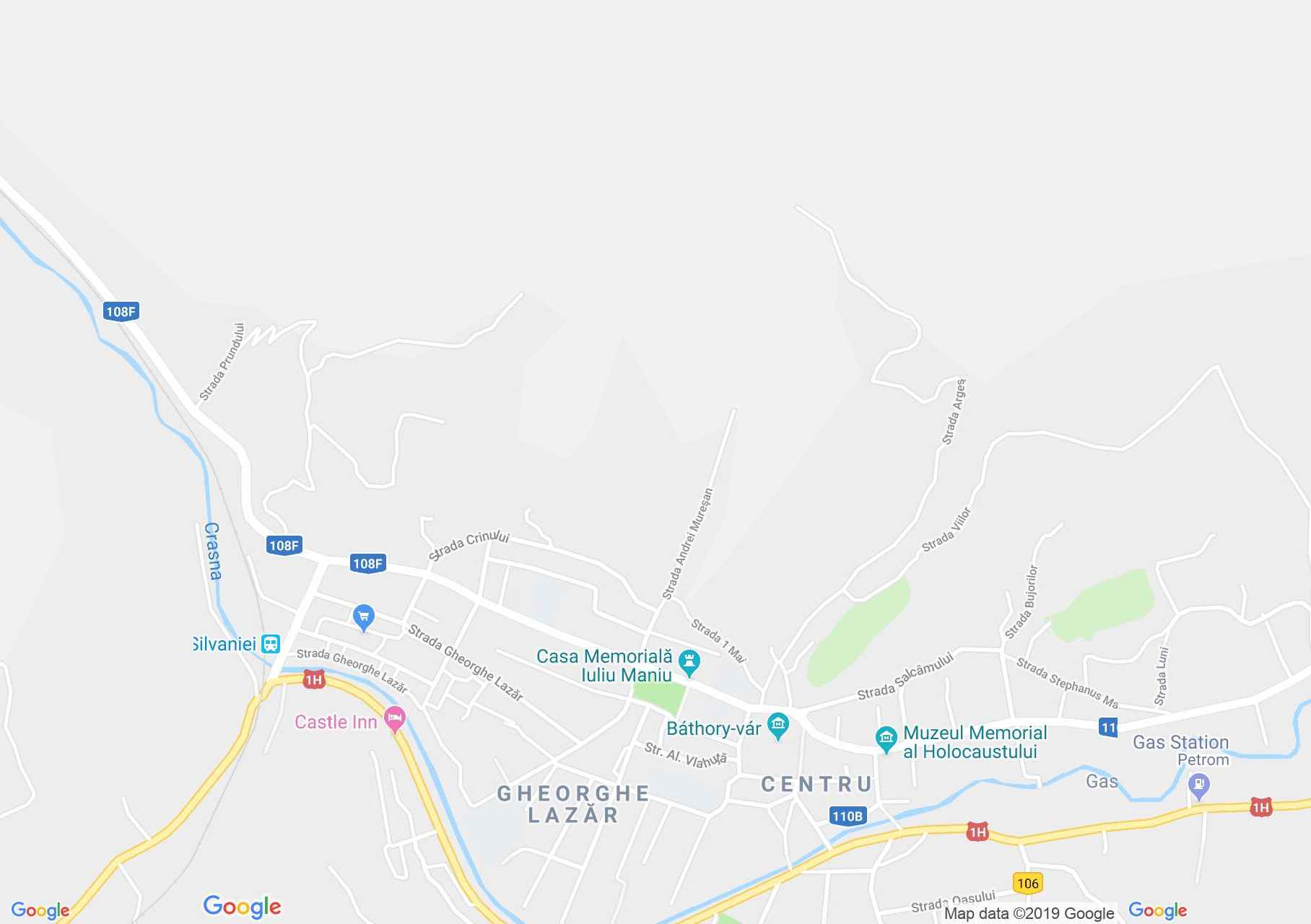 Hartă Şimleu Silvaniei: Statuia Sfintei Treimi