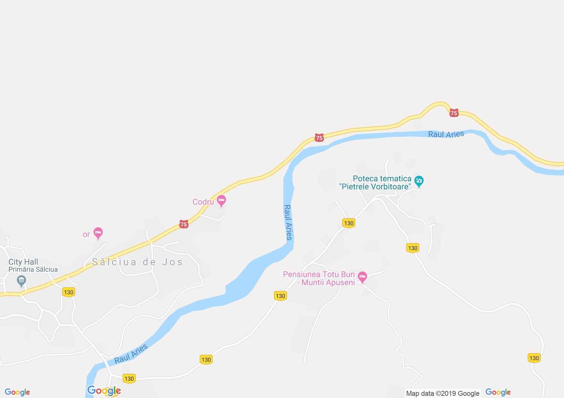 Hartă Sălciua: Pensiunea Larix