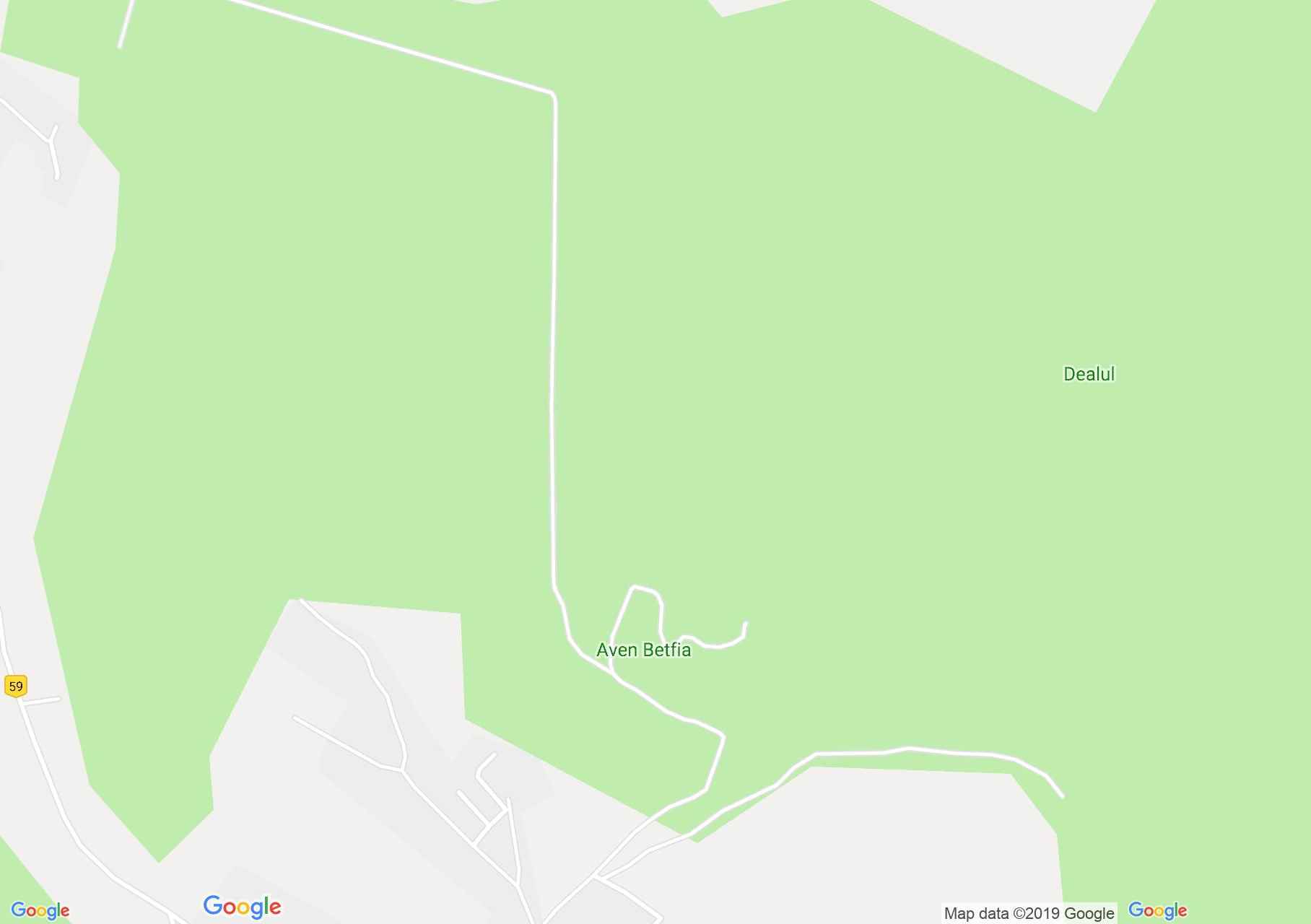 Hartă Băile 1 Mai: Avenul Betfia