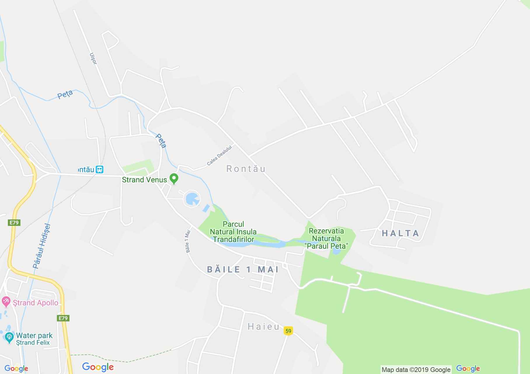 Hartă Băile 1 Mai: Pensiunea Viorica