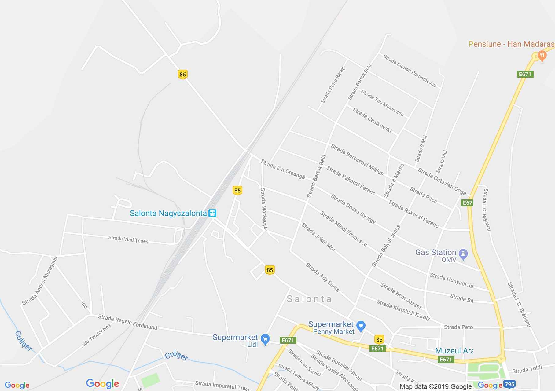 Hartă Salonta: Colegiul Arany János