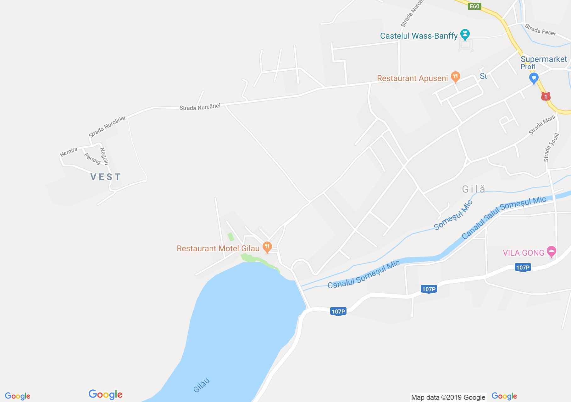 Map of Gilău: Gilău Lake