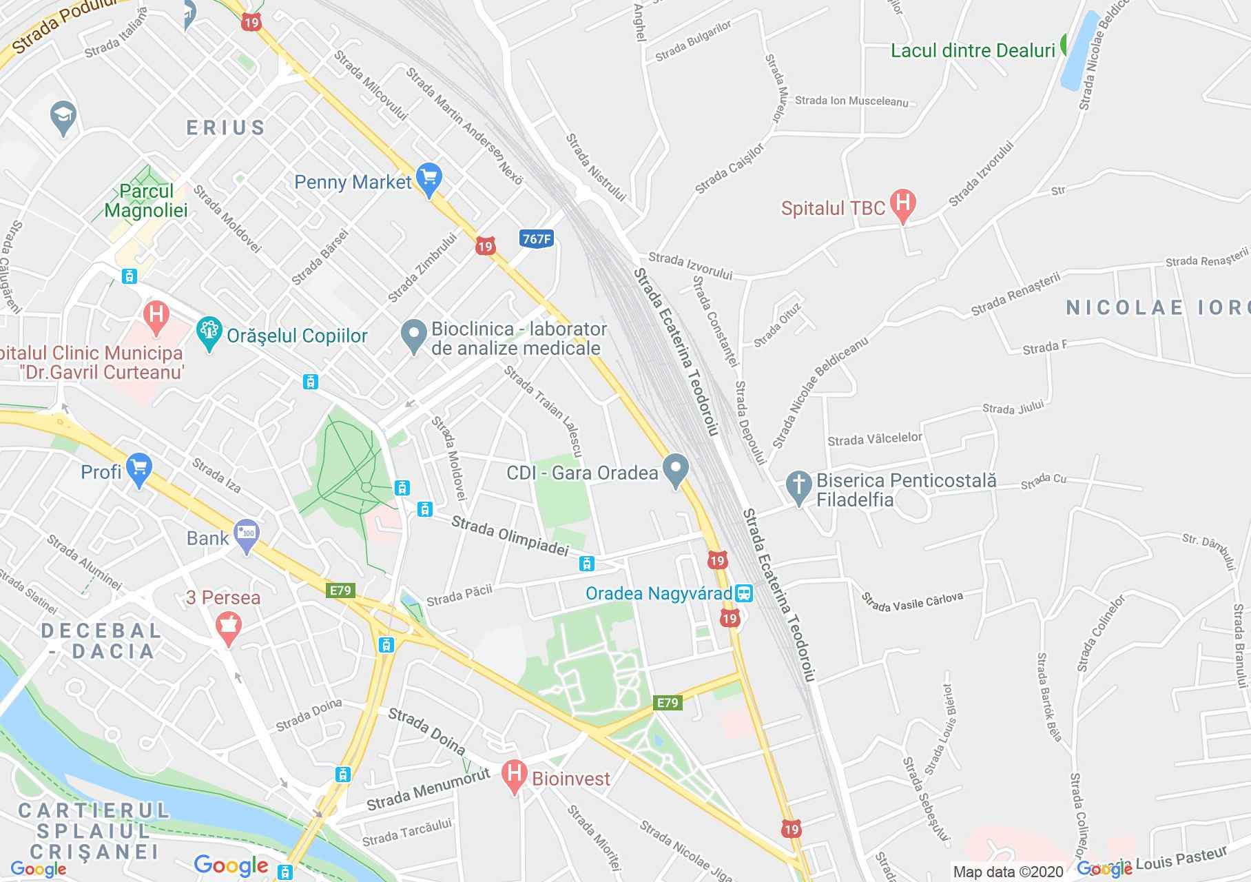 Hartă Oradea: Bazilica romano-catolică
