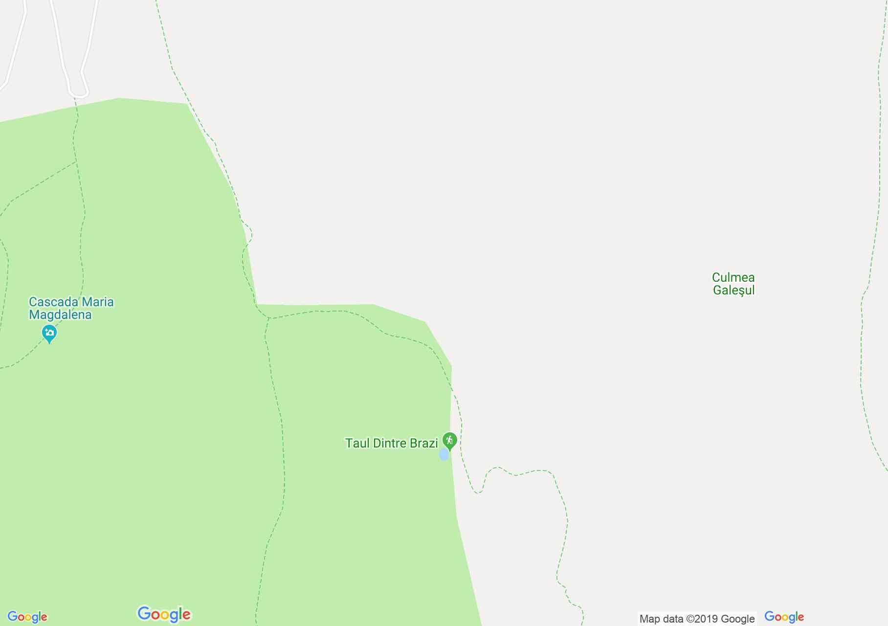 Map of Retezat mountains: Lake between trees